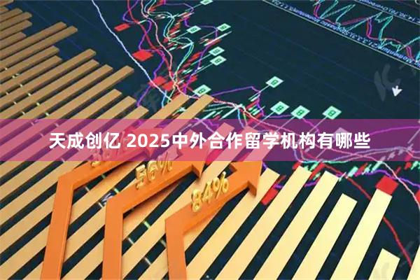 天成创亿 2025中外合作留学机构有哪些