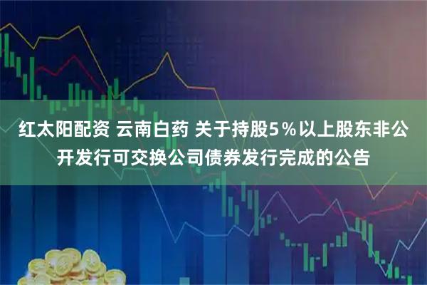 红太阳配资 云南白药 关于持股5％以上股东非公开发行可交换公司债券发行完成的公告