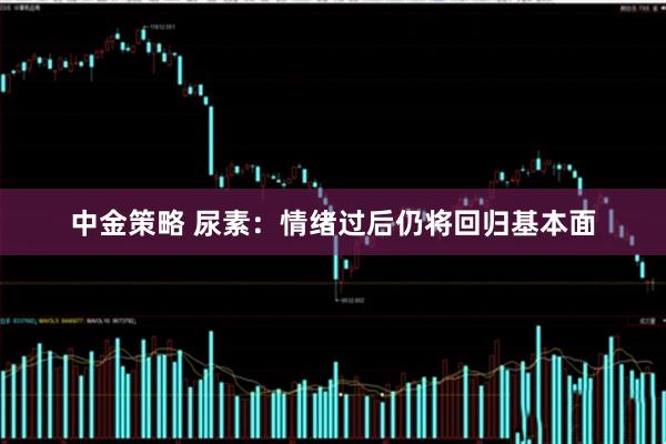 中金策略 尿素：情绪过后仍将回归基本面